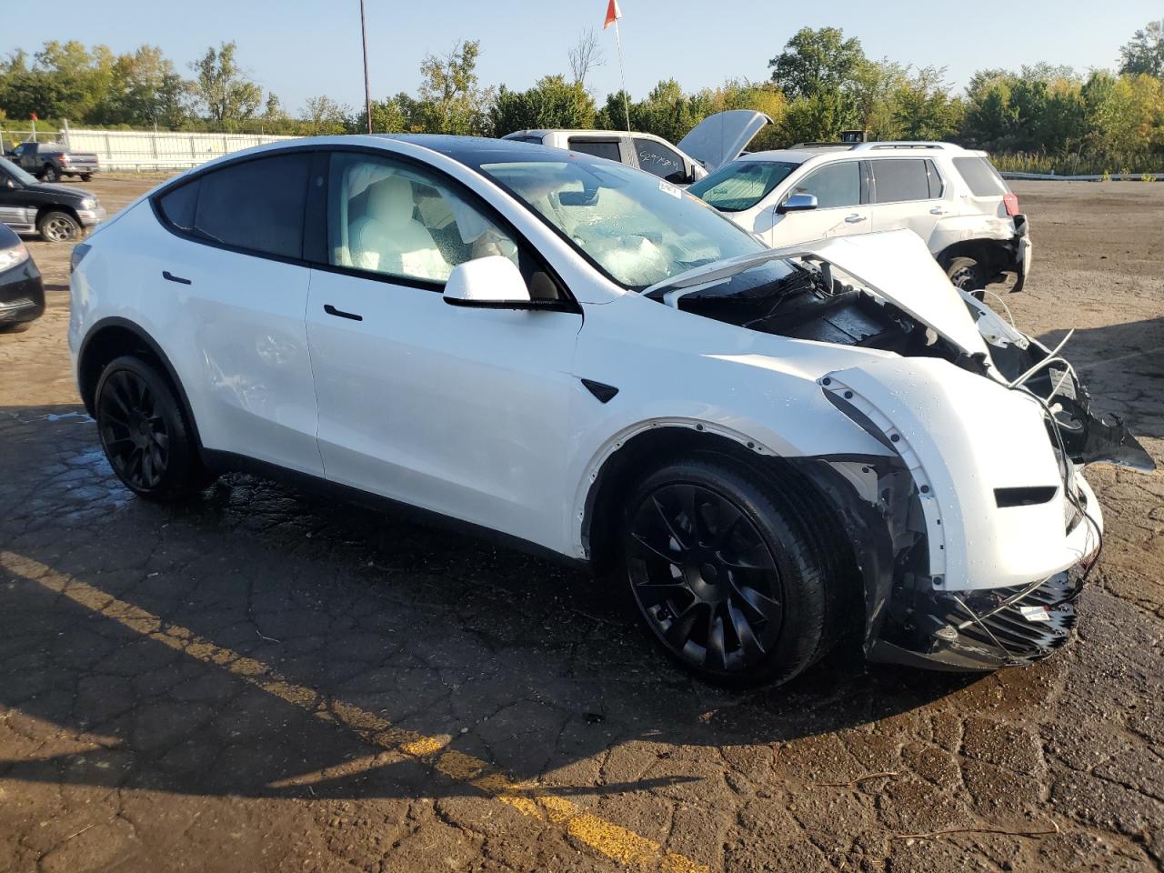 Lot #2853079471 2024 TESLA MODEL Y