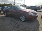 LEXUS ES 350 photo