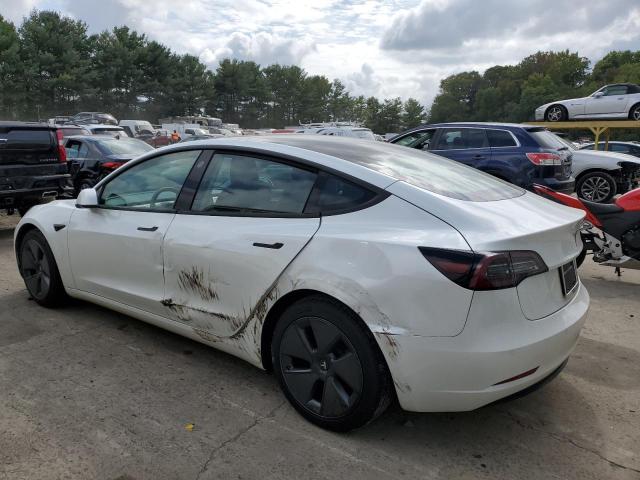 2021 TESLA MODEL 3 - 5YJ3E1EA5MF989085