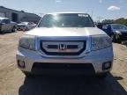 HONDA PILOT EXL photo