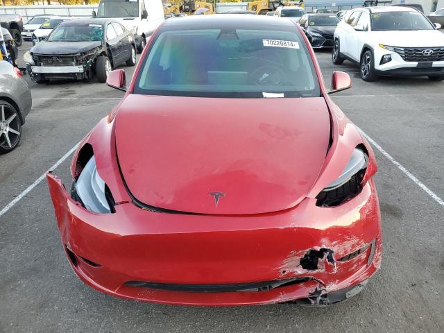 2021 TESLA MODEL Y - 5YJYGDEF5MF251977
