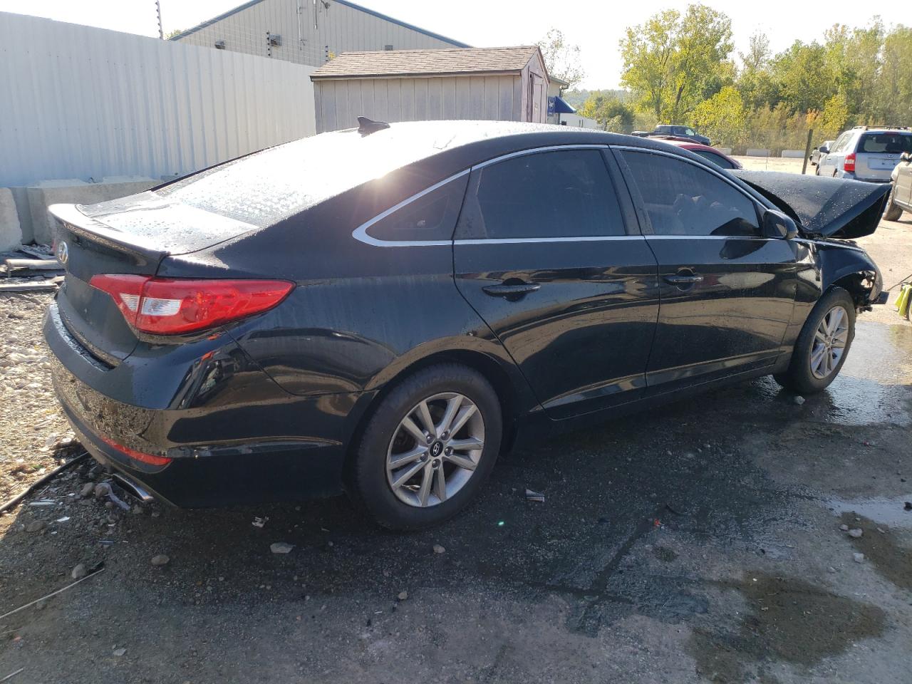 Lot #2907429102 2016 HYUNDAI SONATA SE