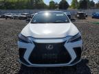 Lot #2989328653 2024 LEXUS NX 350 LUX