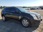 CADILLAC SRX LUXURY photo