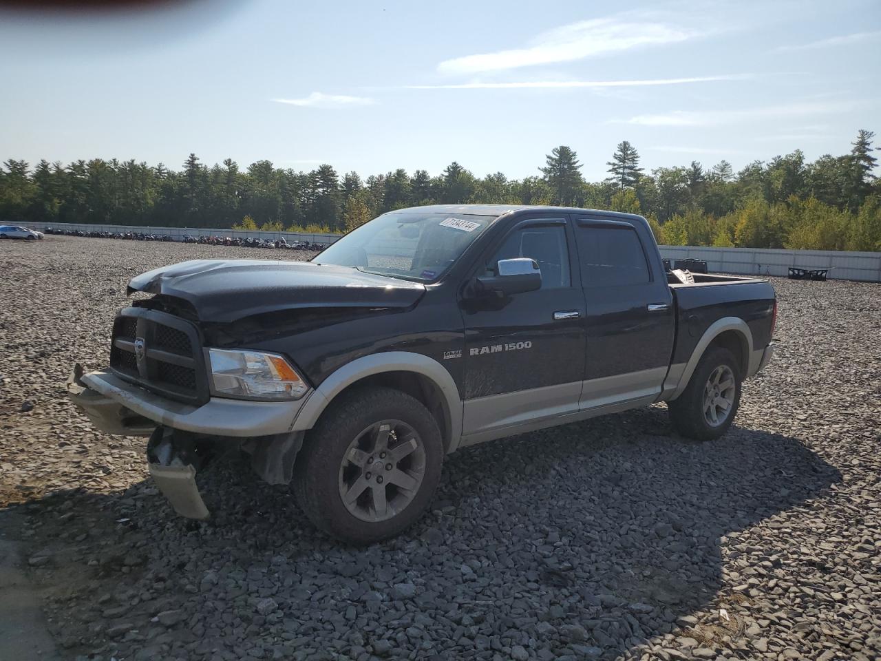 Lot #2989315110 2011 DODGE RAM 1500