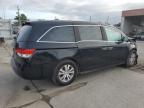 HONDA ODYSSEY EX снимка