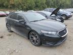 Lot #3006004774 2013 FORD TAURUS SHO