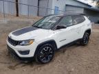 2020 JEEP COMPASS TR - 3C4NJDDB9LT111904