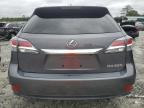 LEXUS RX 350 photo