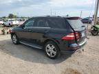 MERCEDES-BENZ ML 350 photo