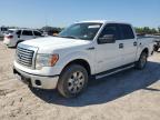 FORD F150 SUPER photo