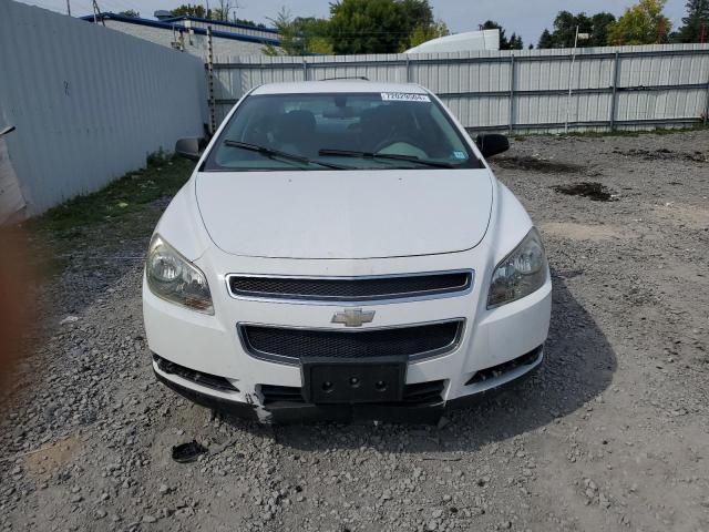 2011 CHEVROLET MALIBU LS 1G1ZA5EU3BF177955  72029504