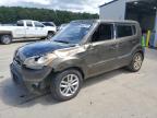 KIA SOUL + photo