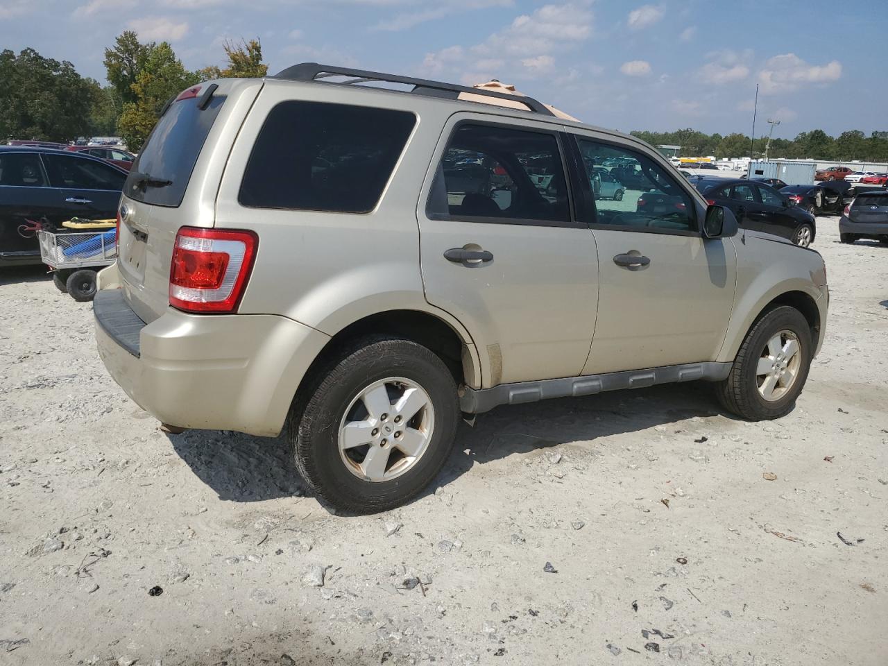 Lot #3048342725 2010 FORD ESCAPE XLT