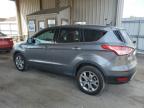 FORD ESCAPE SEL снимка