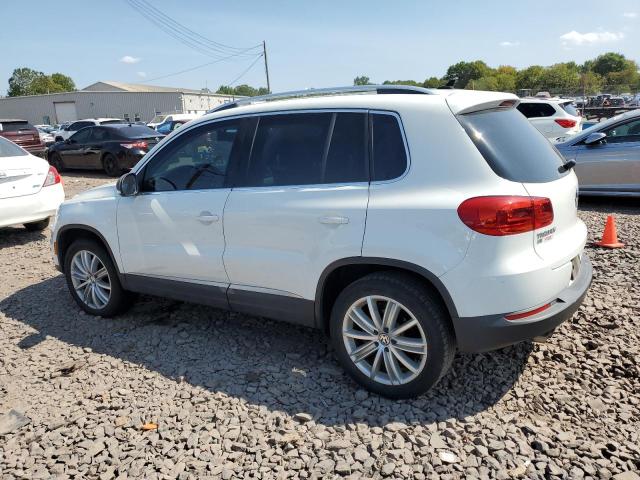 VIN WVGAV7AX7GW562068 2016 Volkswagen Tiguan, S no.2