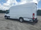 FORD TRANSIT T- photo