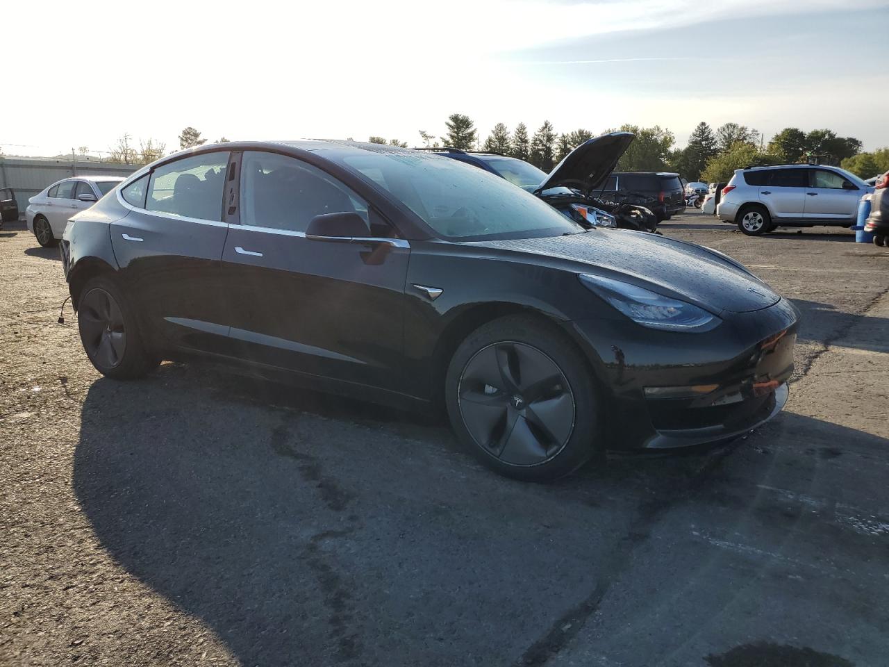 Lot #2994093256 2019 TESLA MODEL 3