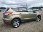 FORD ESCAPE SEL photo