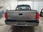 DODGE DAKOTA SLT photo