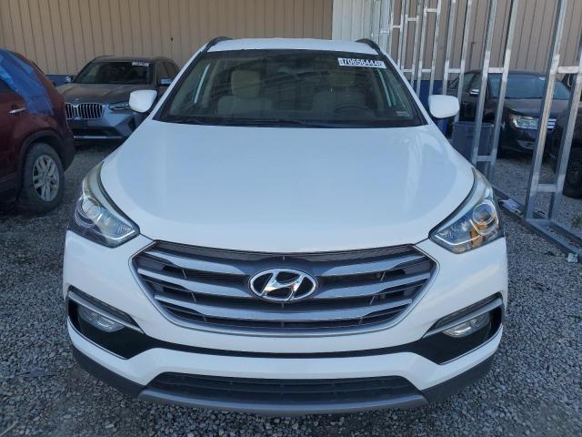 VIN 5NMZU3LB0HH010050 2017 Hyundai Santa Fe no.5