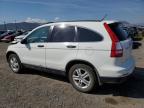 HONDA CR-V EX photo