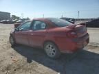 Lot #3023900253 2005 DODGE NEON SXT