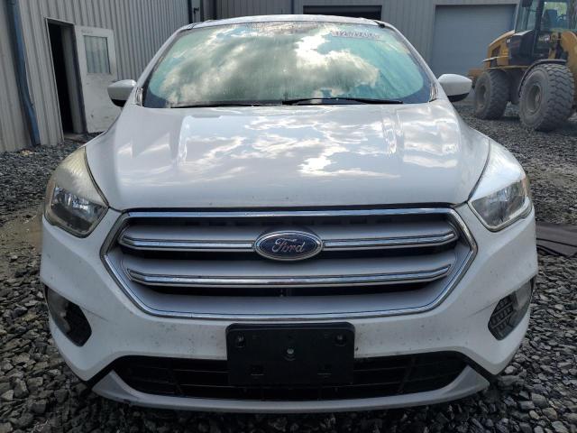 2019 FORD ESCAPE SE 1FMCU0GD7KUC53270  72522404