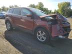 FORD ESCAPE SE photo