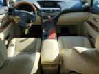 LEXUS RX 350 photo