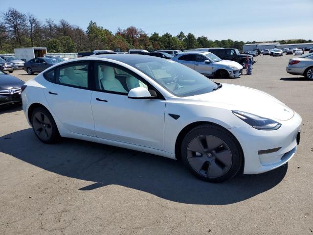 2023 TESLA MODEL 3 - 5YJ3E1EA6PF540857