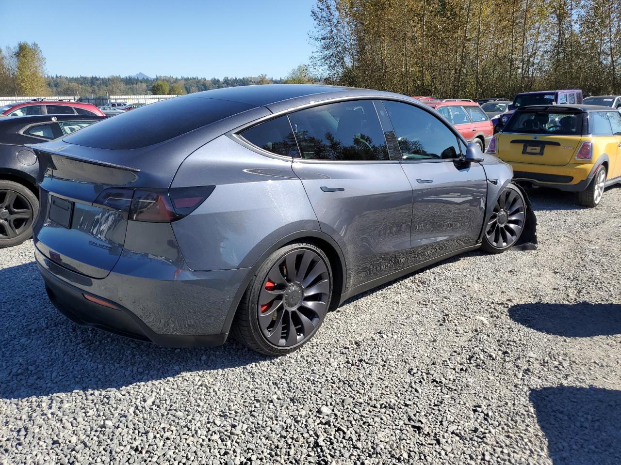 Lot #2977154237 2022 TESLA MODEL Y