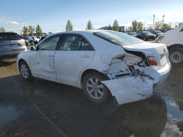 TOYOTA /S/LE/XLE 2019 white sedan 4d gas 4T1BE46K19U874580 photo #3