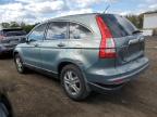 Lot #3025044176 2010 HONDA CR-V EXL