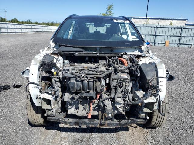 2019 TOYOTA RAV4 XLE - 2T3RWRFV6KW023388