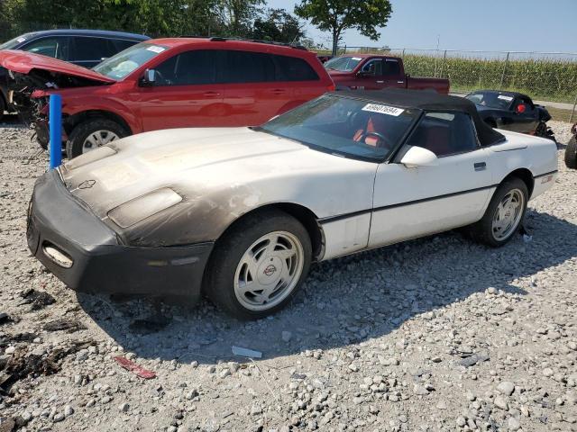 CHEVROLET CORVETTE