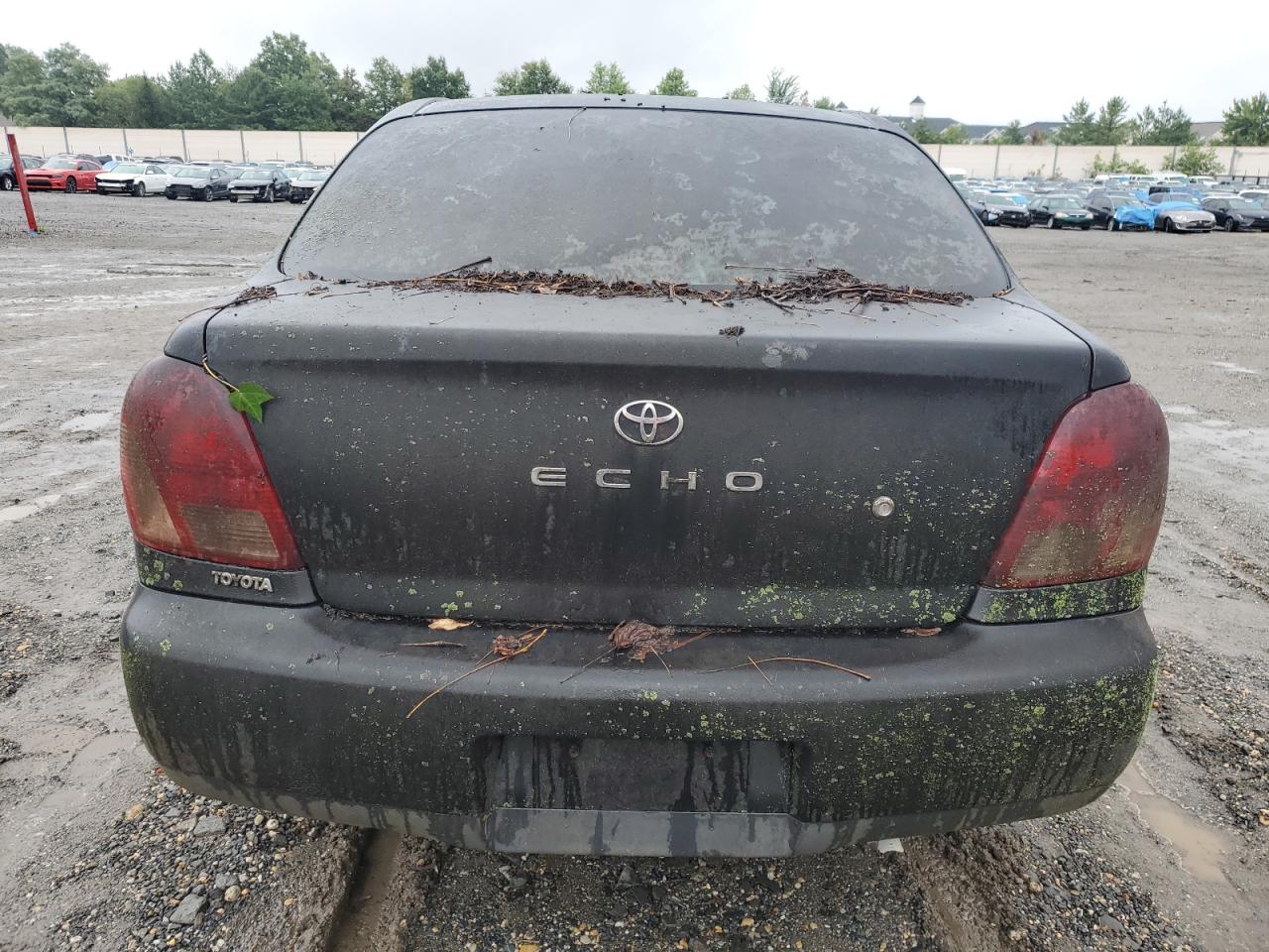 Lot #3034422716 2002 TOYOTA ECHO