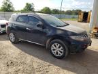 NISSAN MURANO S photo