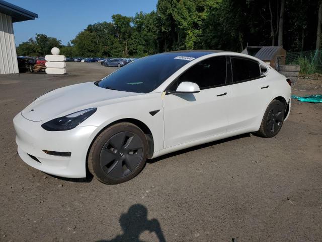 VIN 5YJ3E1EB8MF975786 2021 Tesla MODEL 3 no.1