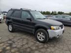 FORD ESCAPE XLT photo