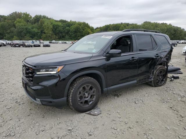 2024 HONDA PILOT TRAI #2957742080