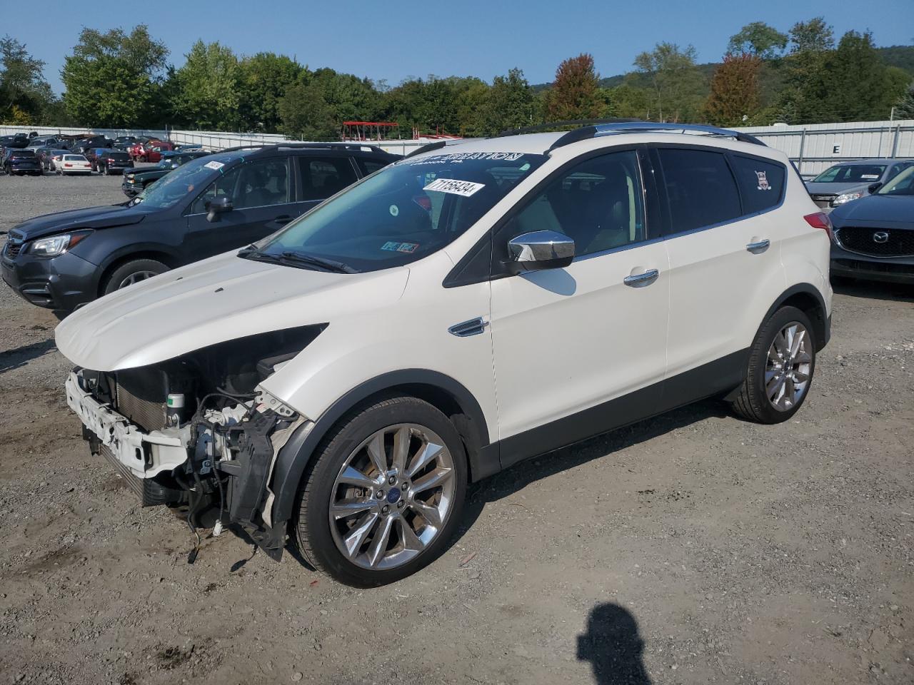  Salvage Ford Escape