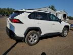 TOYOTA RAV4 LE photo