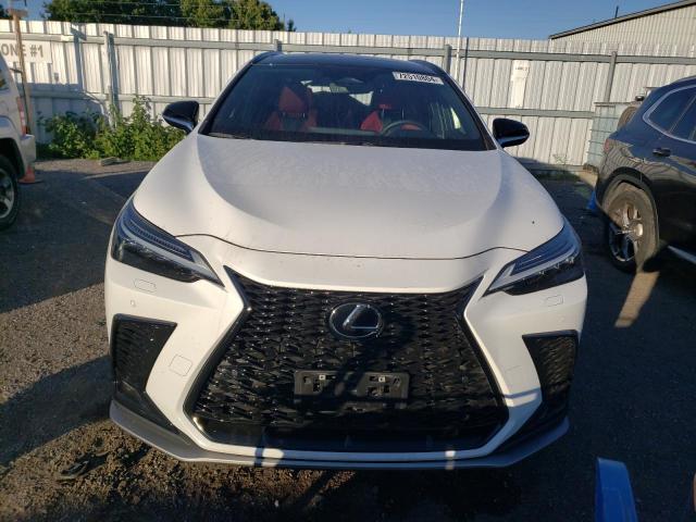 2023 LEXUS NX 350 2T2KGCEZ7PC027611