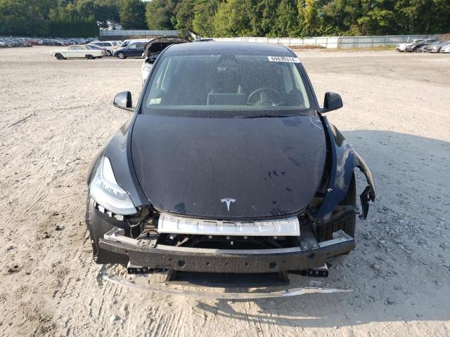 2023 TESLA MODEL Y - 7SAYGDEE1PA090894