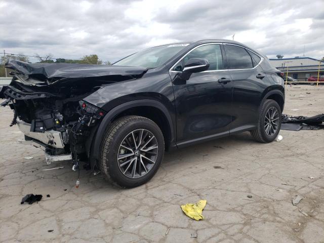 2024 LEXUS NX 250 BAS #2974751095