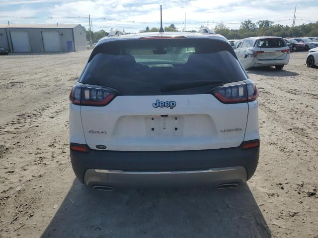 2019 JEEP CHEROKEE L - 1C4PJMDX9KD445617
