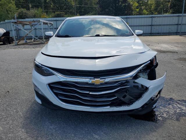 2019 CHEVROLET MALIBU LT - 1G1ZD5ST0KF105789