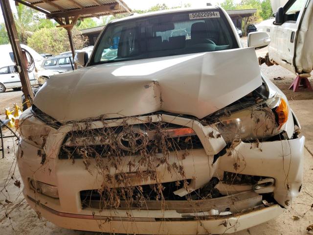 2010 TOYOTA 4RUNNER SR #3276581058