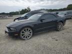 Lot #3023326270 2011 FORD MUSTANG